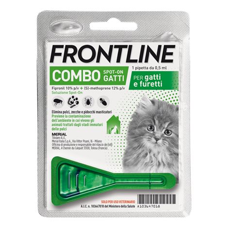 Frontline Combo per Gattini 1 Pipetta