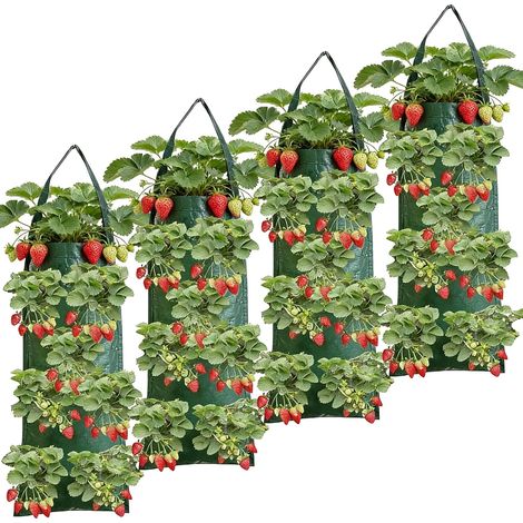 Lot de 4 Sacs de plantation, 10 trous, Tissu non tissé, Respirant, Pour balcon et jardin (1/5)