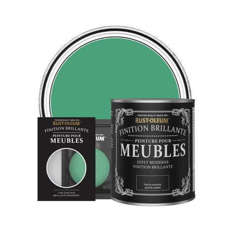 Peinture pour Meubles Brillante - Émeraude (1/3)