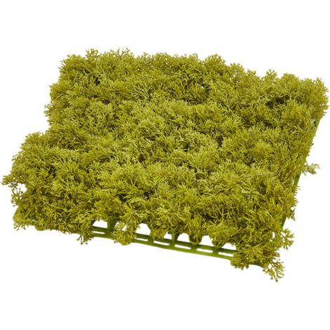 Muschio lichene color verde, tappeto da 25 x 25 cm