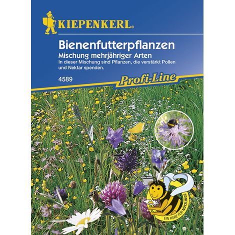 Kiepenkerl Bienenfutterpflanze mehrjährig Inhalt 5 - 8 m² Keine Angabe (1/2)