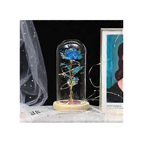 Ewige Rosen – Schönheit und Tierrosen-Set in Glaskuppel mit LED-Beleuchtung – Künstliche Rosenblumen – Rosengeschenk für Frauen – Geschenk für Mütter