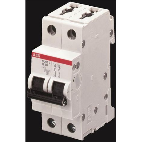 Disjoncteur S202L 2P 25A Courbe C Raccordement à vis - 6KA (2Modules) 2CDS242701R0254 ABB 350240 (1/4)