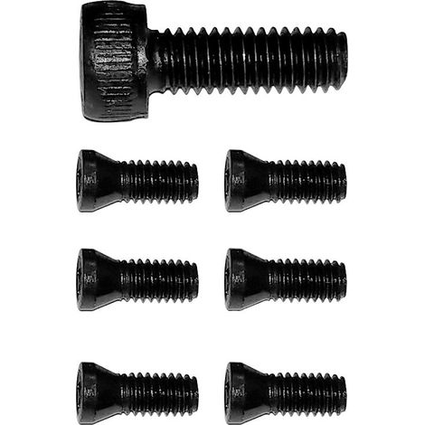 Jeu de vis Torx pour DBS0708 MW Tools TORXS8X8