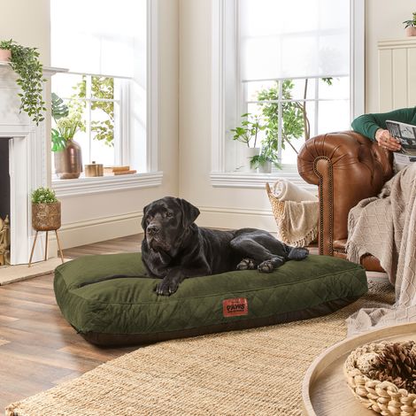 Paws for Slumber Padded Pet Bed, Green, Extra Large