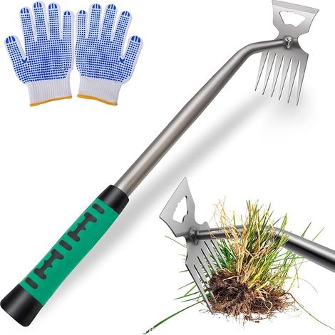 Manual Weeder, Garden Hoe, Weed Puller, Weed Removal Tool for Furnishing, Aerating and Weeding the Soil (1/3)