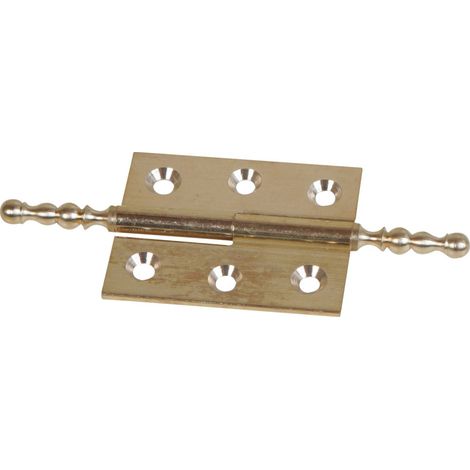 Charnière guitel po6240s10xrx laiton poli 60x40 mm