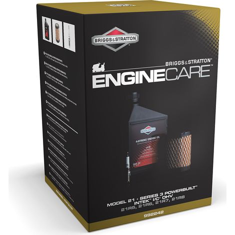 Kit d'entretien BRIGGS ET STRATTON 992242 pour moteur série 3 modèle 21 (1/3)