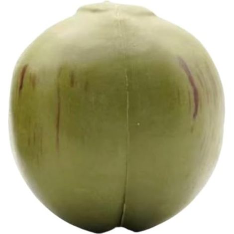 Simulation de noix de coco en plastique, modèle de fruits et légumes, pour la maison, la cuisine, les fêtes de mariage, la photographie, la décoration de Noël (tête unique S)