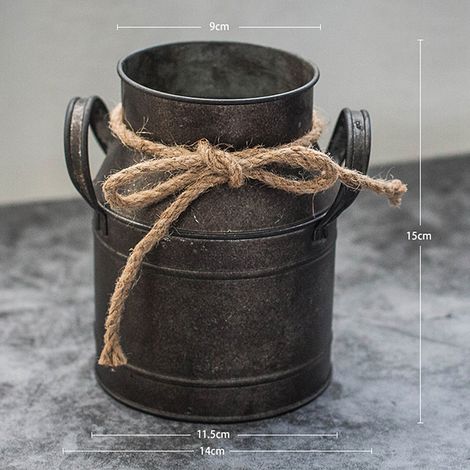 Lot de 3 seaux à lait vintage en métal pour jardin, support fleur suspendu, pot de fleur ancien style ferme (1/4)