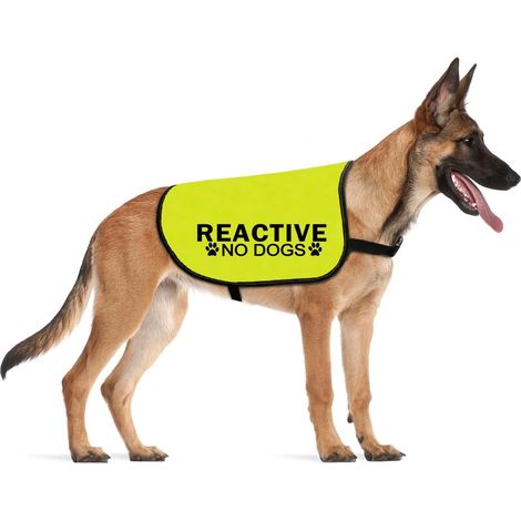 Veste pour chien avec slogan « Do Not Pet Reactive No Dogs Service » (NO DOGS Reactive L EU) (1/5)