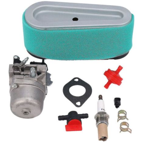 Carburateur pour tondeuse autoportée 12,5 ch Briggs & Stratton LMT 5-4993-AquaForge (1/5)