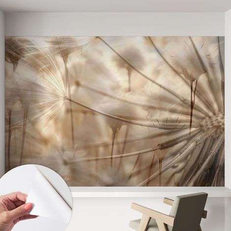 Selbstklebend Tapete modern - Wanddeko für Küche - Klebefolie Wand - luxus Look Zarte Pusteblumen 152x104 cm (1/5)