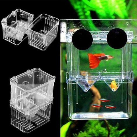 Acryl-Fischzuchtaquarium, doppelwandig, zum Aufhängen, für Jungfische, Brutkasten, Isolierbox (1/5)