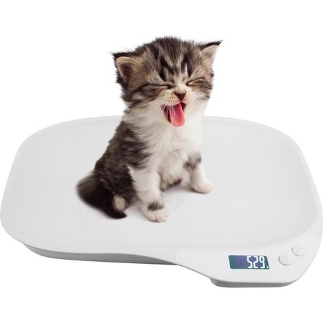 Balanza para mascotas pequeñas，15 kg (± 1 g)，Balanza para perros y gatos con 4 modos de pesaje (kg/oz/lb/ml)，Ideal para gatitos (1/5)