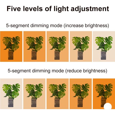 LED-Pflanzenlampe für den Innenbereich, Vollspektrum-Pflanzenlampe mit Timer, LED-Lichtleiste für Gewächshäuser (1/5)