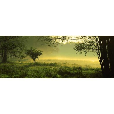 Tableau paysage sous bois au petit matin - 80x30 cm (1/5)