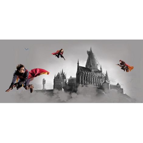 Poster Harry Potter Quidditch 3 personnages 170 x 75 CM