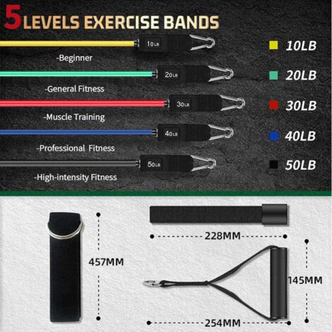 Bandes de résistance, ceintures de fitness, ceintures de fitness unisexes avec poignées, équipements de fitness à domicile (1/3)