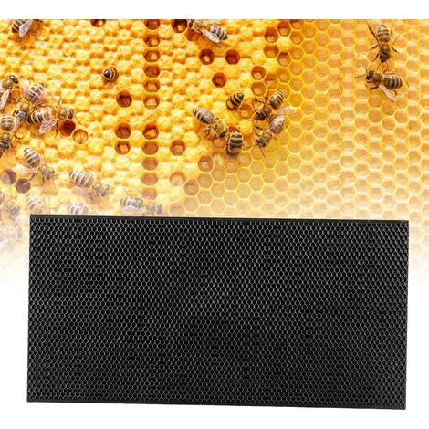 Cadre apicole en plastique avec cire gaufrée (noir) (1/5)