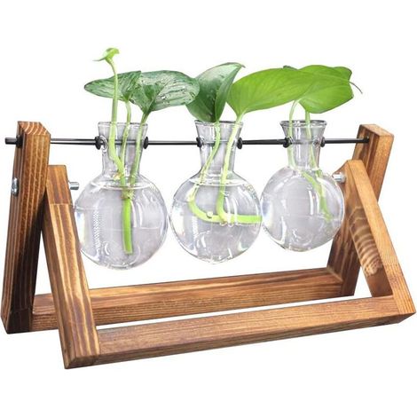 1 Support bois, Vase verre hydroponique, Design vintage, Pot fleurs, Décoration salon bureau (1/5)
