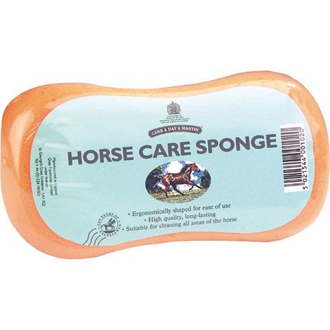 Eponge ergonomique de haute qualité pour le nettoyage du cheval