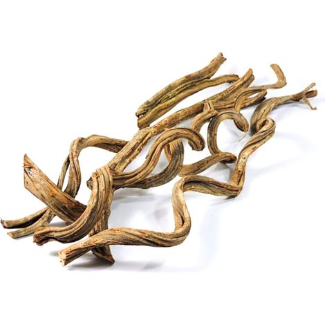Liane bouclée BioCurly pour terrarium 20-25 cm (1/4)