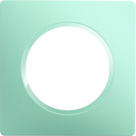 DEBFLEX - CASUAL EVO PLAQUE DE FINITION 1 POSTE VERT D'EAU