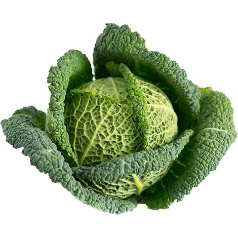 Semi di Cavolo Verza re d'inverno 2 piante per orto e giardino