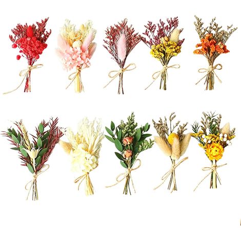 10pcs Bouquet Fleurs SéChéEs,Fleurs Sechees Naturelles,Mini Bouquet Fleurs SéChéEs,Peut êTre Utilisé pour Les Cadres Photo,Les Emballages Cadeaux,La DéCoration De Corsage Et d'autres Travaux Manuels (1/5)