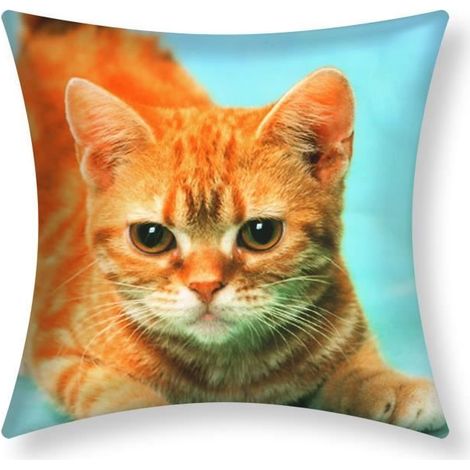 Housse de coussin - AVIZAR - Lot de 2 - 40x40 cm - Motif Chat Jaune - Design Contemporain (1/5)