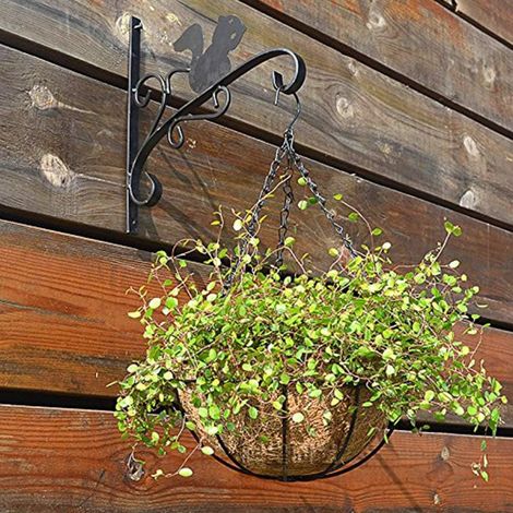 2 Crochets de suspension pour jardinières, noir, supports de fixation pour plantes, crochets de clôture en métal pour pots suspendus, pinces de suspension pour plantes, lanternes, usage extérieur, lot (1/3)