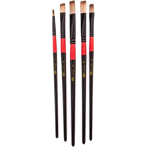 Set di 5 pennelli piatti
