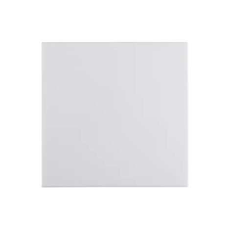 Berker Wippe mit Befeststück S.1 IP44 pw glzd 16298989 (1/2)
