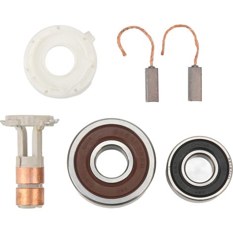 Jeu de balais et roulements de régulateur d'alternateur en alliage d'aluminium AL2400X pour Maxima V6 3.5L 2004-2008 (1/5)