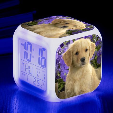 Digitaler Wecker „Tierwelt“ für Haustiere mit Hunden (B), mit bunten Lichtern