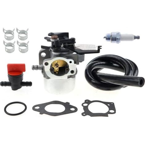 796608 carburateurs pour moteurs Briggs & Stratton 591137 590948 select 121000 12q000 111000 11p000 (1/4)