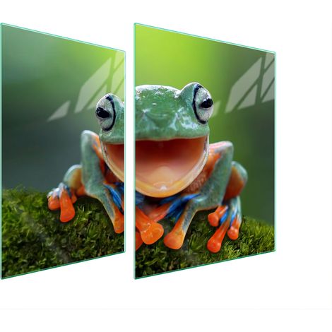 GLASSCHUTZPLATTE FÜR HERD 70x52 FROG (1/5)