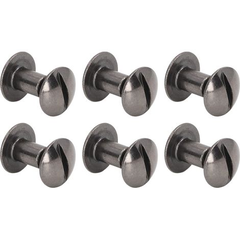 200 Vis à Reliure Laiton avec Revêtement Électrolytique, Assortiment de Vis Chicago pour Surfaces Courbes, Finition Uniforme en Argent Noir (1/5)