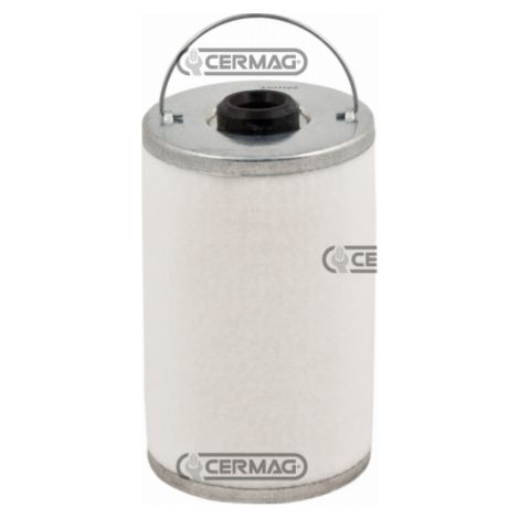 Kraftstofffilter für Landmaschinenmotor CARRARO ANTONIO Tigrone 735 mot. Slanzi