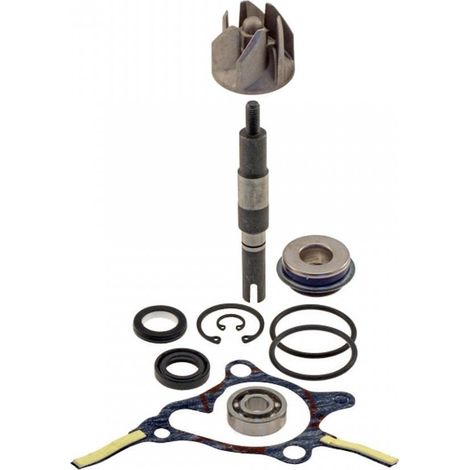 rms wasserpumpe für roller honda 250 foresight 2000 bis 2005