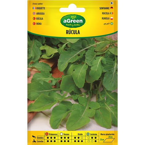Paket mit Rucola-Samen - einfache und schnelle Anzucht