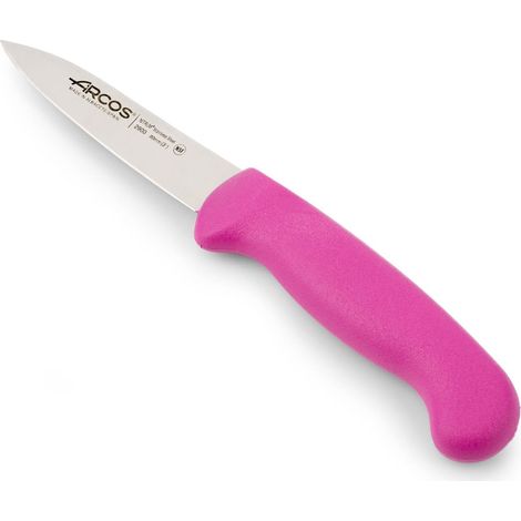 Messer Mondador Arcos 2900 - Prof  290031 Edelstahl Nitrum mango ergonomisches Polypropylen fuchsia Farbe und 8 cm Klinge, Vitrine (1/5)