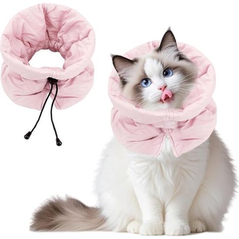 Collier pour chat - Collier de récupération pour chats - Collier de récupération ajustable pour chats - Convient aux chatons, chats et petits chiens - Bleu (1/5)