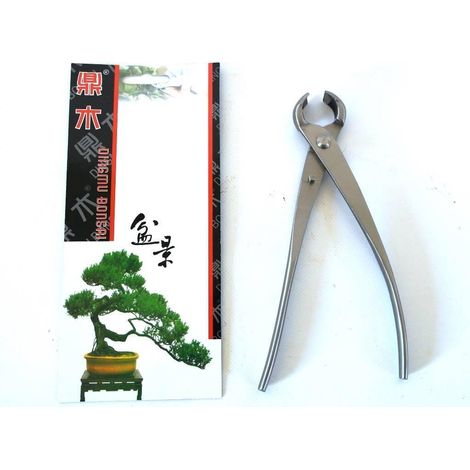 Tronchese bonsai taglio sferico in acciaio satinato  mm. 180