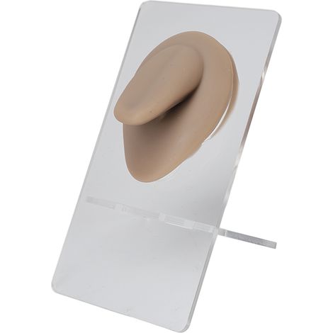 Modèle de langue en silicone souple 3D réaliste avec support pour entraînement au piercing, teint foncé, outil professionnel de simulation. (1/5)