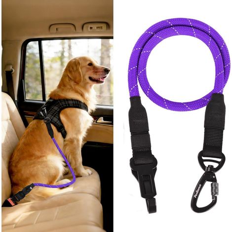 Hunde Sicherheitsgurt für Auto, verstellbar, mit Karabiner, Lila (1/5)