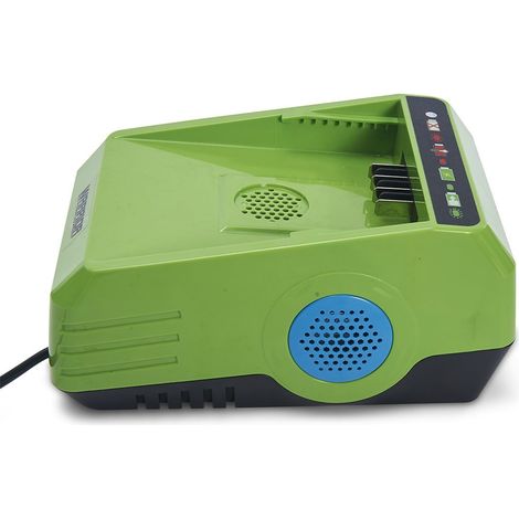 Caricabatterie agli ioni di litio da 2,5 Ah, 220 V, doppia ventola Warrior Eco Power (1/5)