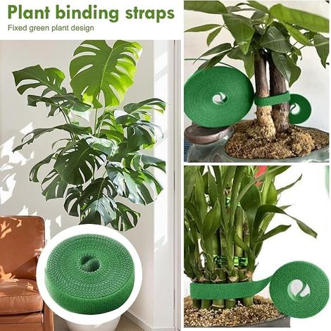 Supports pour Plantes en Métal, Attache Plante Grimpante pour Stabilisation et Soutien des Feuilles, Clips de Fixation pour Plantes, Fleurs, Tomates (1/4)