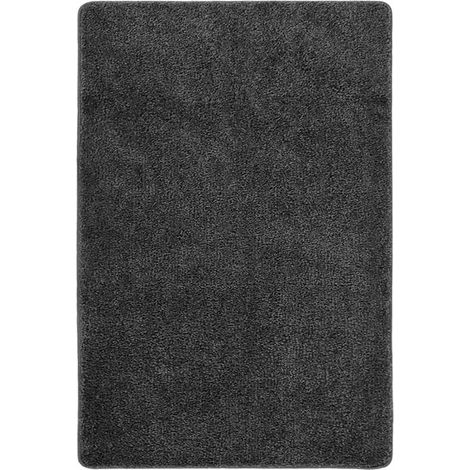 Tapis de salon Style Moderne Tapis de sol - Tapis shaggy antidérapant Gris 140x200 cm BV255628 - BonneVie (1/4)